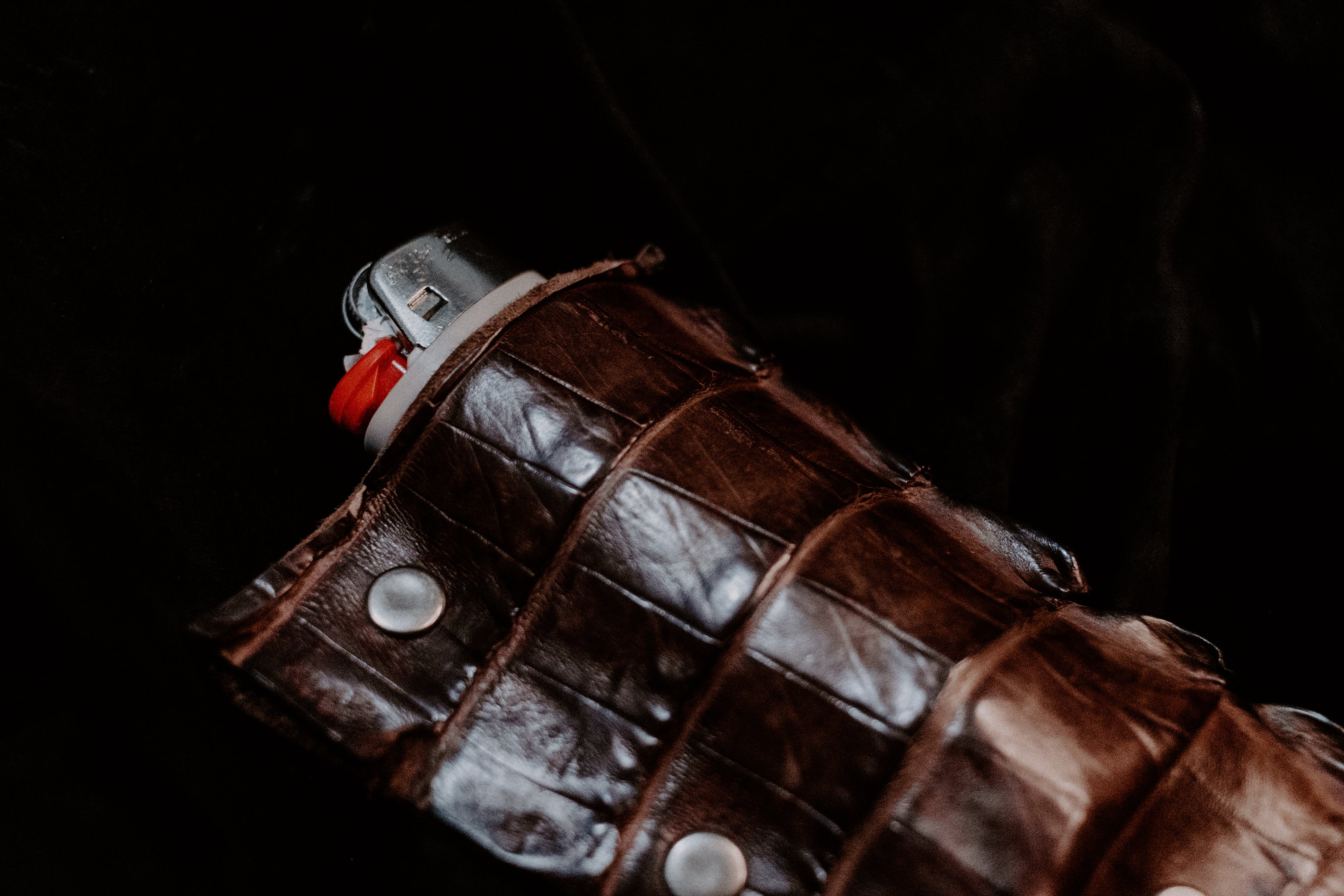 Crocodile Tail Lighter Case